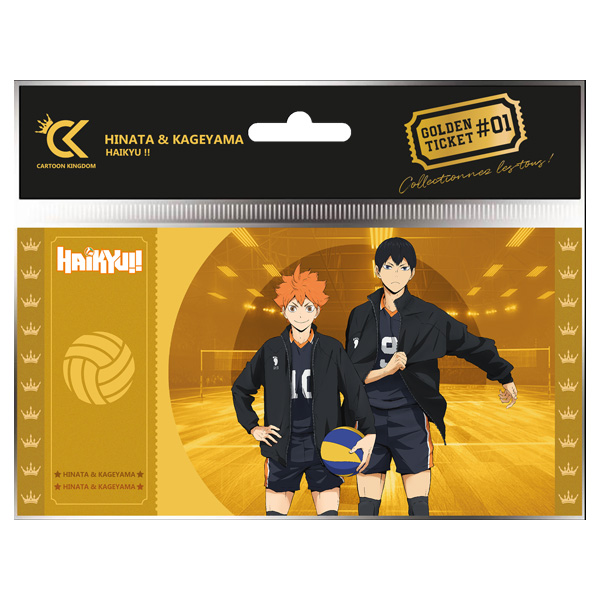 HAIKYU!! GOLDEN TICKET COL01 HINATA & KAGEYAMA