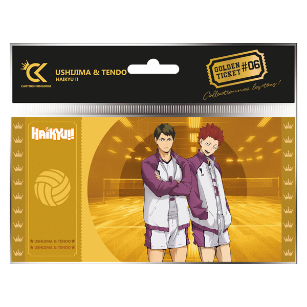 HAIKYU!! GOLDEN TICKET COL01 USHIJIMA & TENDO