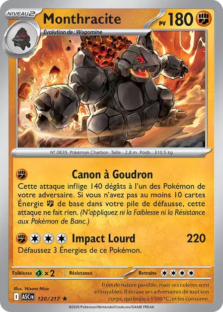 ME02.5 [FR] ASC (REVERSE) 120 MONTHRACITE (HOLO)