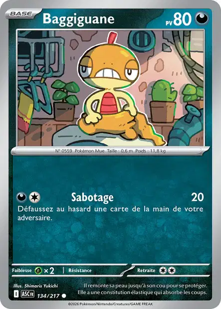 ME02.5 [FR] ASC (REVERSE) 134 BAGGIGUANE (COMMUNE)