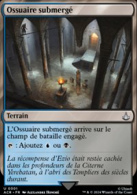 MTG [FR] ACR 301 OSSUAIRE SUBMERGE (TERRAIN)