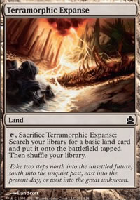 MTG [FR] COM 291 IMMENSITE TERRAMORPHE (TERRAIN)