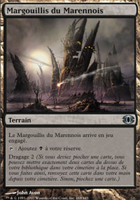 MTG [FR] FUT 169 MARGOUILLIS DU MARENNOIS (TERRAIN)