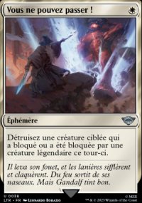 MTG [FR] LTR 0038 VOUS NE POUVEZ PASSER !