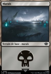 MTG [FR] LTR 0266 MARAIS