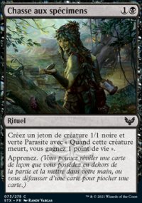 MTG STX 0073 CHASSE AUX SPECIMENS - [FR]