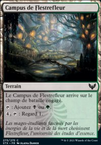 MTG [FR] STX 0275 CAMPUS DE FLESTREFLEUR