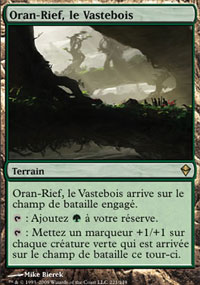 MTG [FR] ZEN 221 ORAN-RIEF, LE VASTEBOIS (TERRAIN)