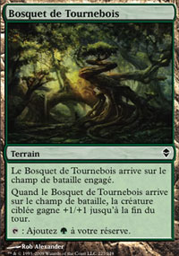 MTG [FR] ZEN 227 BOSQUET DE TOURNEBOIS (TERRAIN)