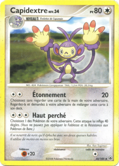 DP05 [FR] MD 035 CAPIDEXTRE