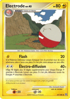 DP07 [FR] SF 037 ÉLECTRODE