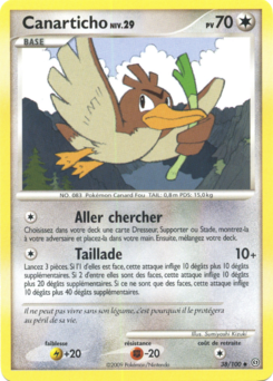 DP07 [FR] SF 038 CANARTICHO