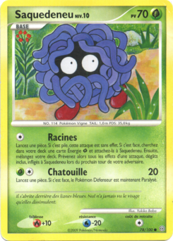 DP07 [FR] SF 078 SAQUEDENEU