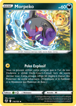 EB12 [FR] SIT (REVERSE) 116 MORPEKO