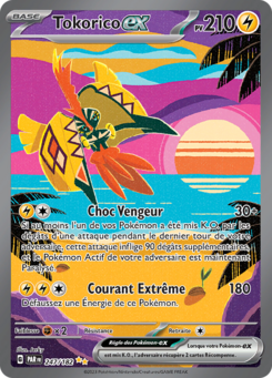 EV04 [FR] PAR 247 TOKORICO EX (SECRETE ILLUSTRATION SPECIALE RARE)