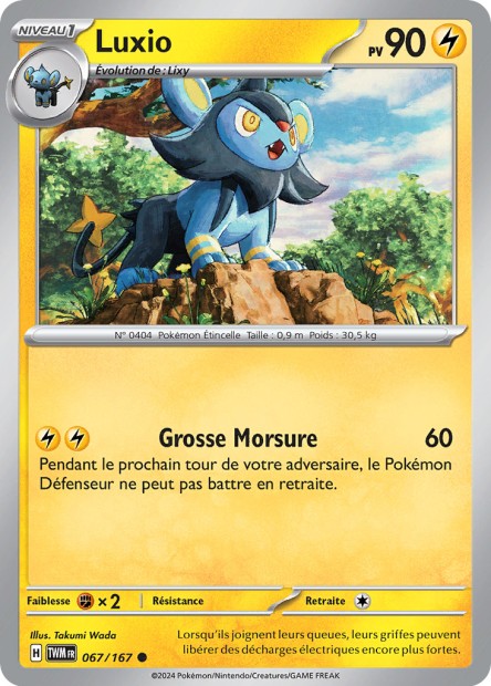 EV06 [FR] TWM (REVERSE) 067 LUXIO