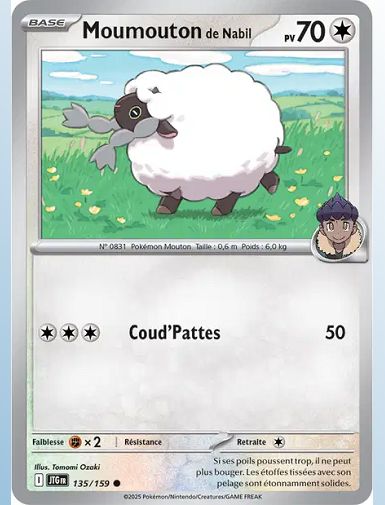 EV09 [FR] JTG (COSMO) 135 MOUMOUTON DE NABIL (COMMUNE)