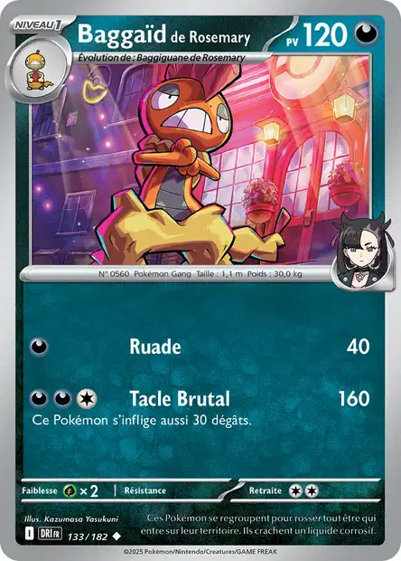 EV10 [FR] DRI (REVERSE) 133 BAGGAID DE ROSEMARY (UNCO)