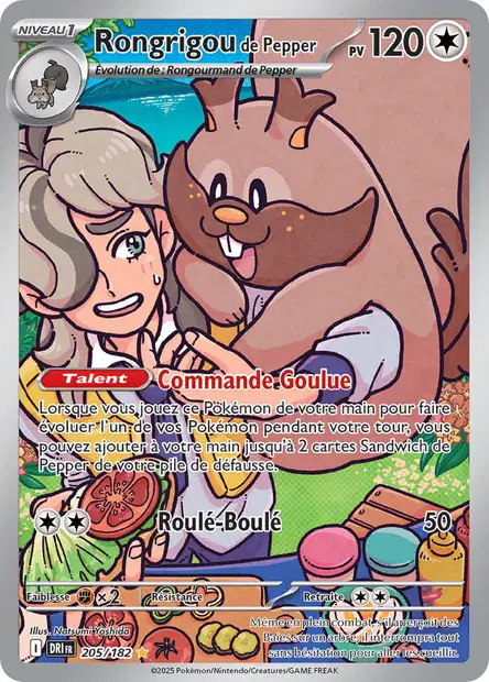 EV10 [FR] DRI 205 RONGRIGOU DE PEPPER (SECRETE ILLUSTRATION RARE)