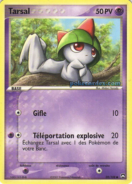 EX15 [FR] PK 059 TARSAL