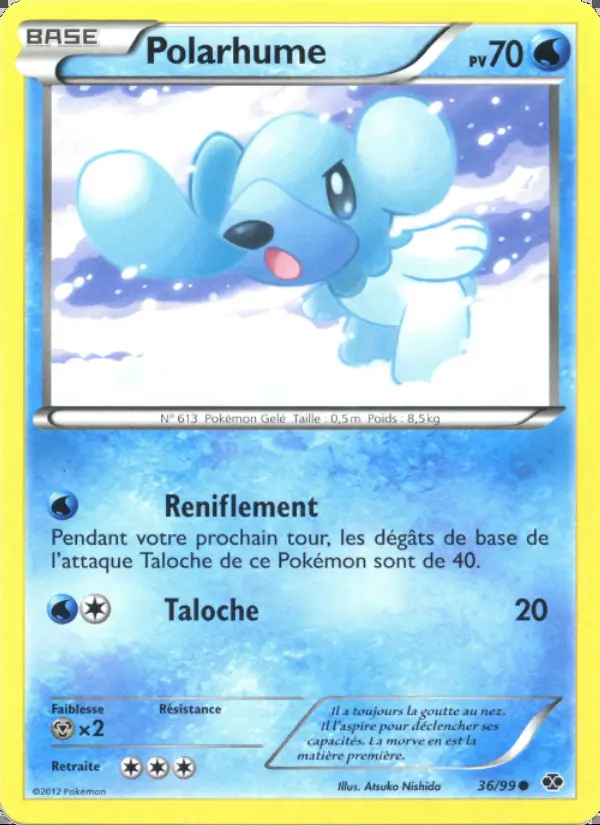NB04 [FR] NXD 036 POLARHUME