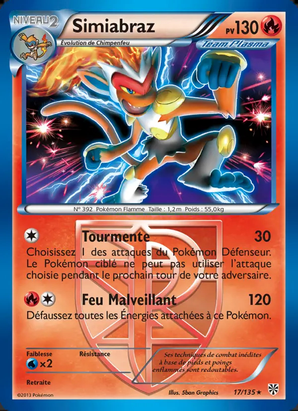 NB08 [FR] PLS 017 SIMIABRAZ (HOLO)