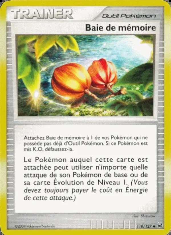 PL01 - 110 BAIE DE MEMOIRE