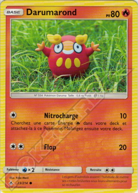 SL10 [FR] UNB 023 DARUMAROND