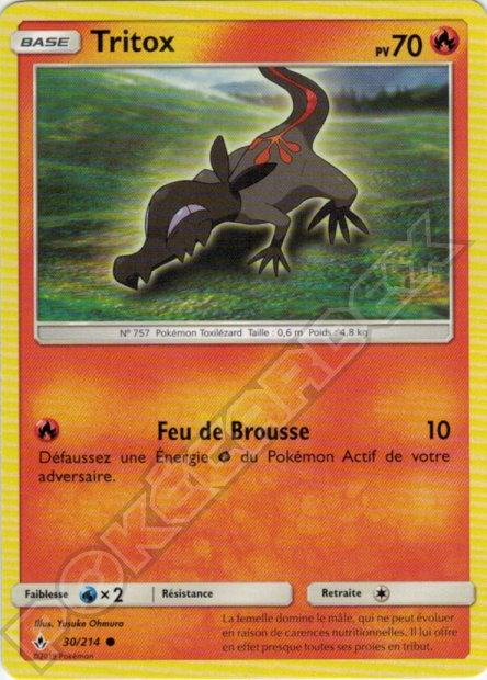 SL10 [FR] UNB (REVERSE) 030 TRITOX