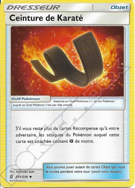 SL11 [FR] UNM 201 CEINTURE DE KARATE
