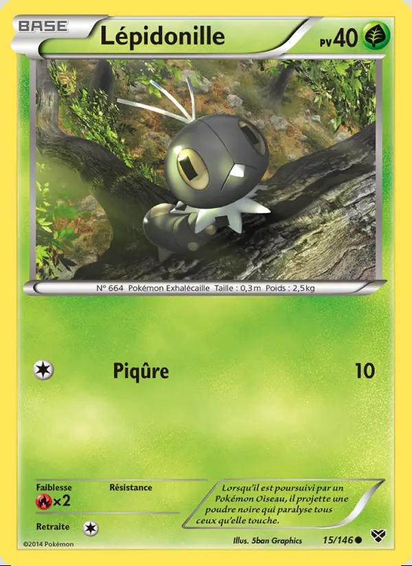 XY01 - 015 LEPIDONILLE (REVERSE)