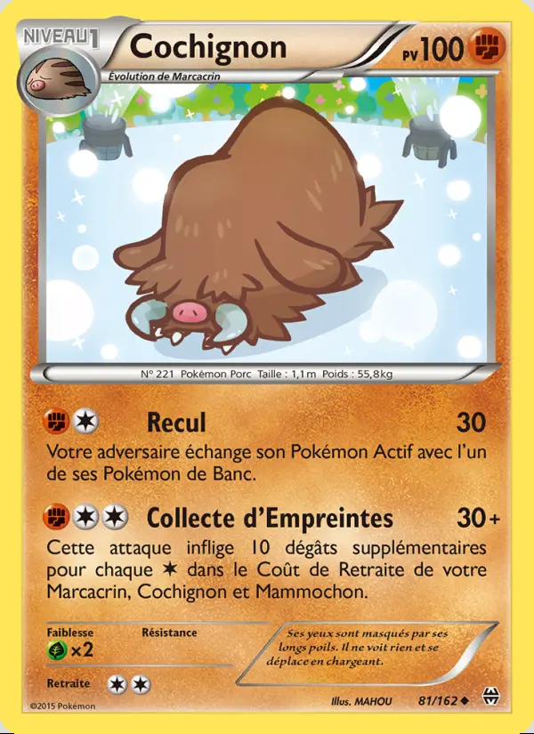 XY08 [FR] BKT 081 COCHIGNON