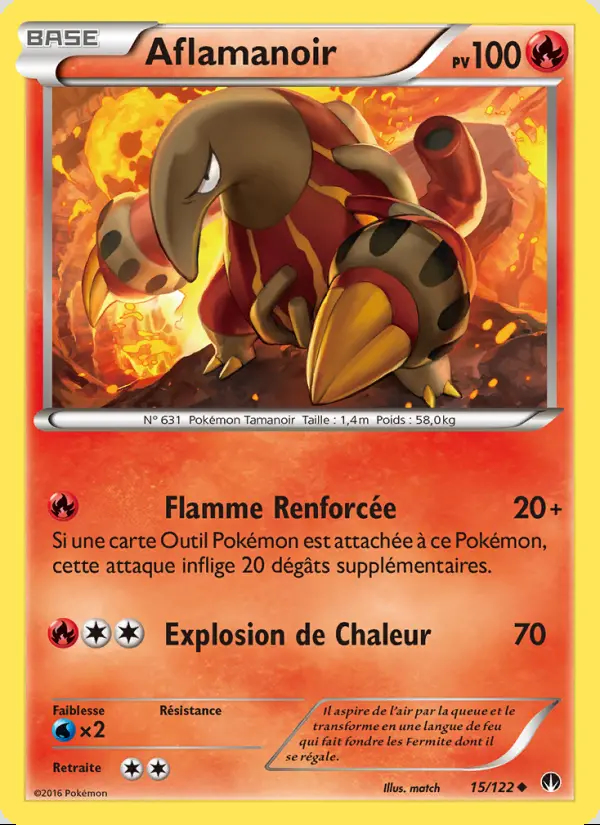 XY09 - 015 AFLAMANOIR