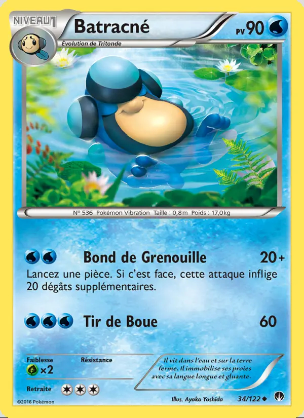 XY09 [FR] BKP 034 BATRACNE