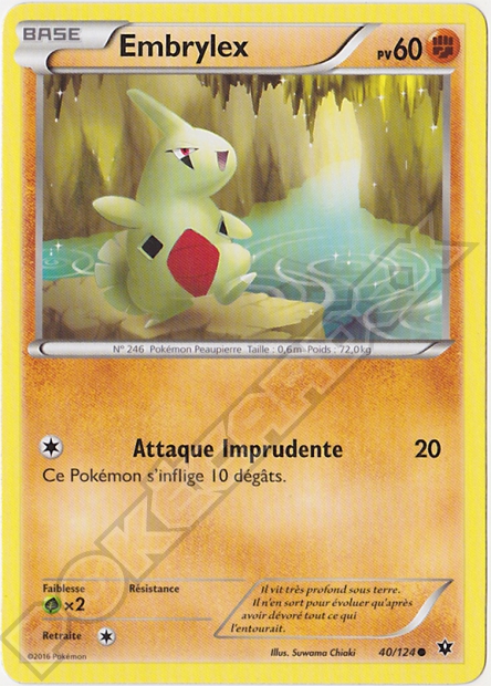 XY10 [FR] FCO (REVERSE) 040 EMBRYLEX