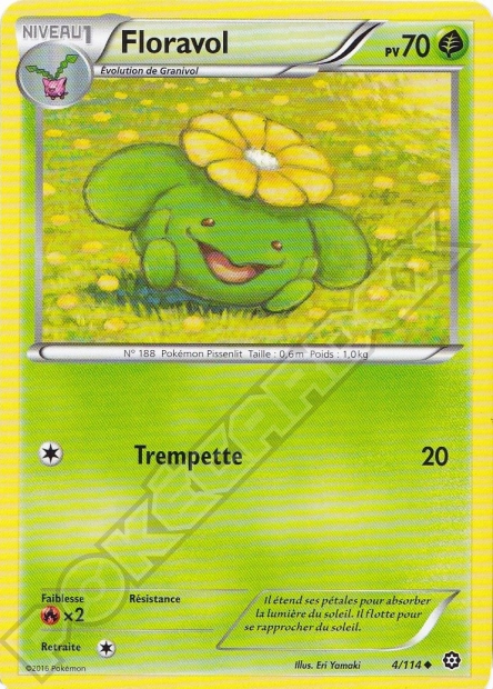 XY11 [FR] STS 004 FLORAVOL