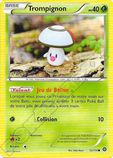 XY11 [FR] STS 012 TROMPIGNON