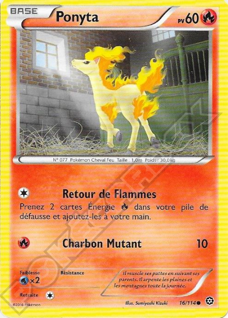 XY11 [FR] STS 016 PONYTA