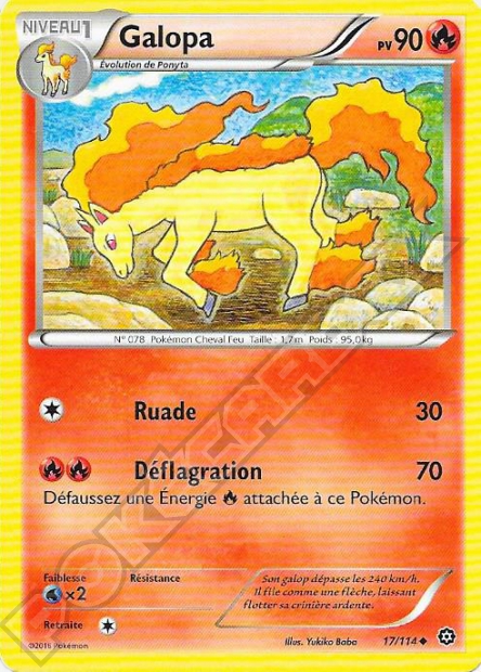 XY11 [FR] STS 017 GALOPA