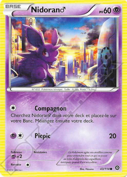 XY11 [FR] STS 043 NIDORAN?