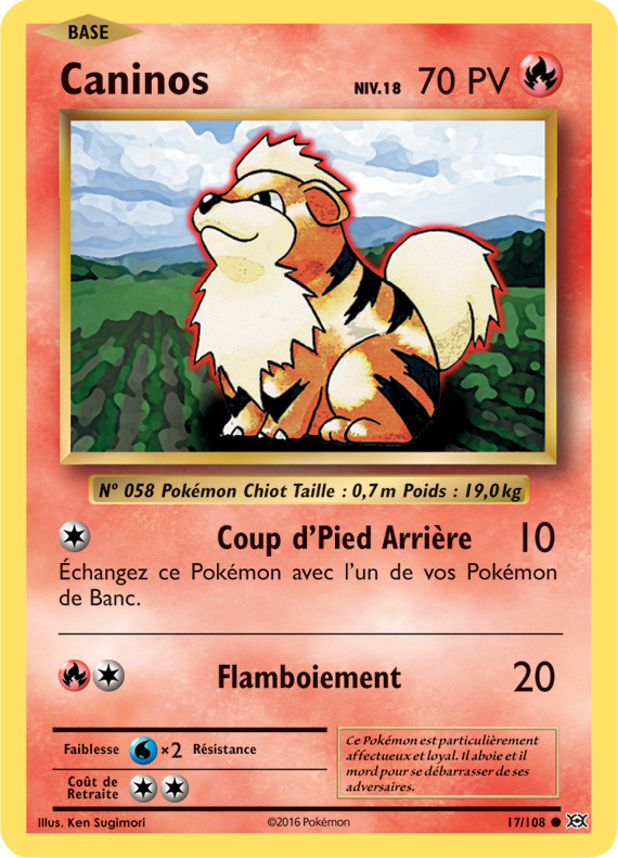 XY12 [FR] EVO 017 CANINOS