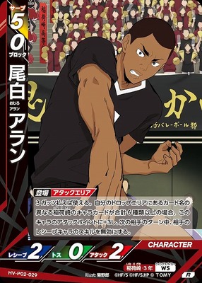 HAIKYUU!! HV-P02-029 RARE