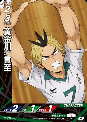 HAIKYUU!! HV-P02-040 RARE