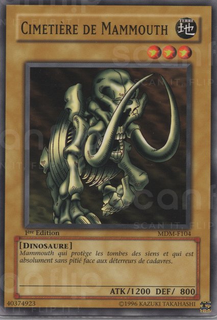 YGO [FR] MDM-F104 (ED1) CIMETIERE DE MAMMOUTH (COMMUNE)