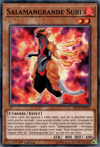 YGO [FR] MP19-FR153 SALAMANGRANDE SURI (COMMUNE)
