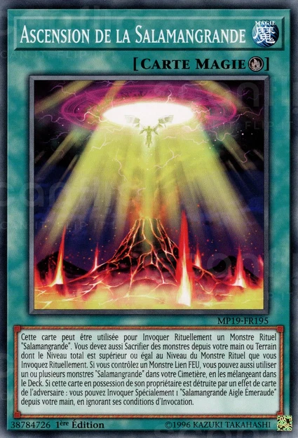 YGO [FR] MP19-FR195 ASCENSION DE LA SALAMANGRANDE (COMMUNE)