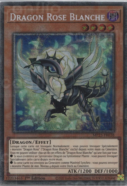 YGO [FR] MP25-FR038 DRAGON ROSE BLANCHE (STARLIGHT RARE)