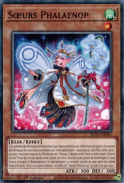 YGO [FR] ROTA-FR085 S&OElig;URS PHALAENOP (COMMUNE)