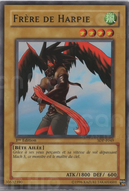 YGO [FR] SDP-F049 (ED1) FRERE DE HARPIE (COMMUNE)