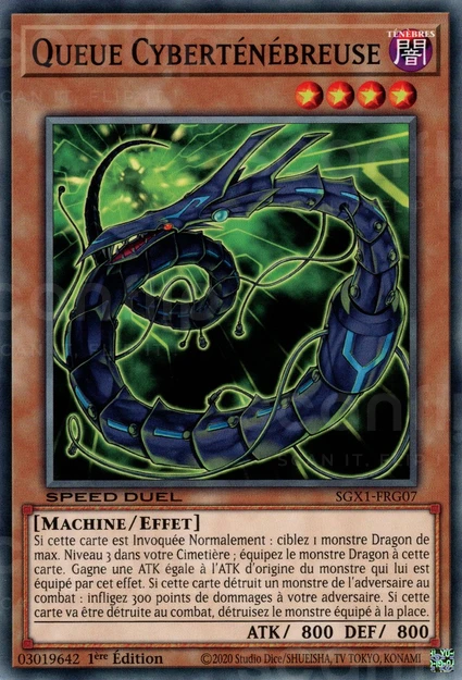 YGO [FR] SGX1-FRG07 QUEUE CYBERTENEBREUSE (COMMUNE)